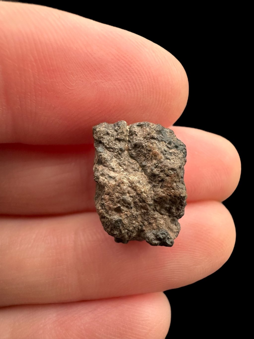 Photoroom 007 20250501 194421