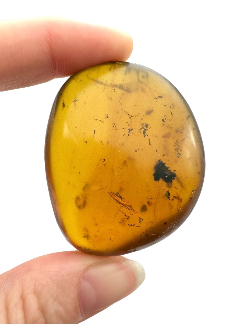 Photoroom 000 20250507 171810