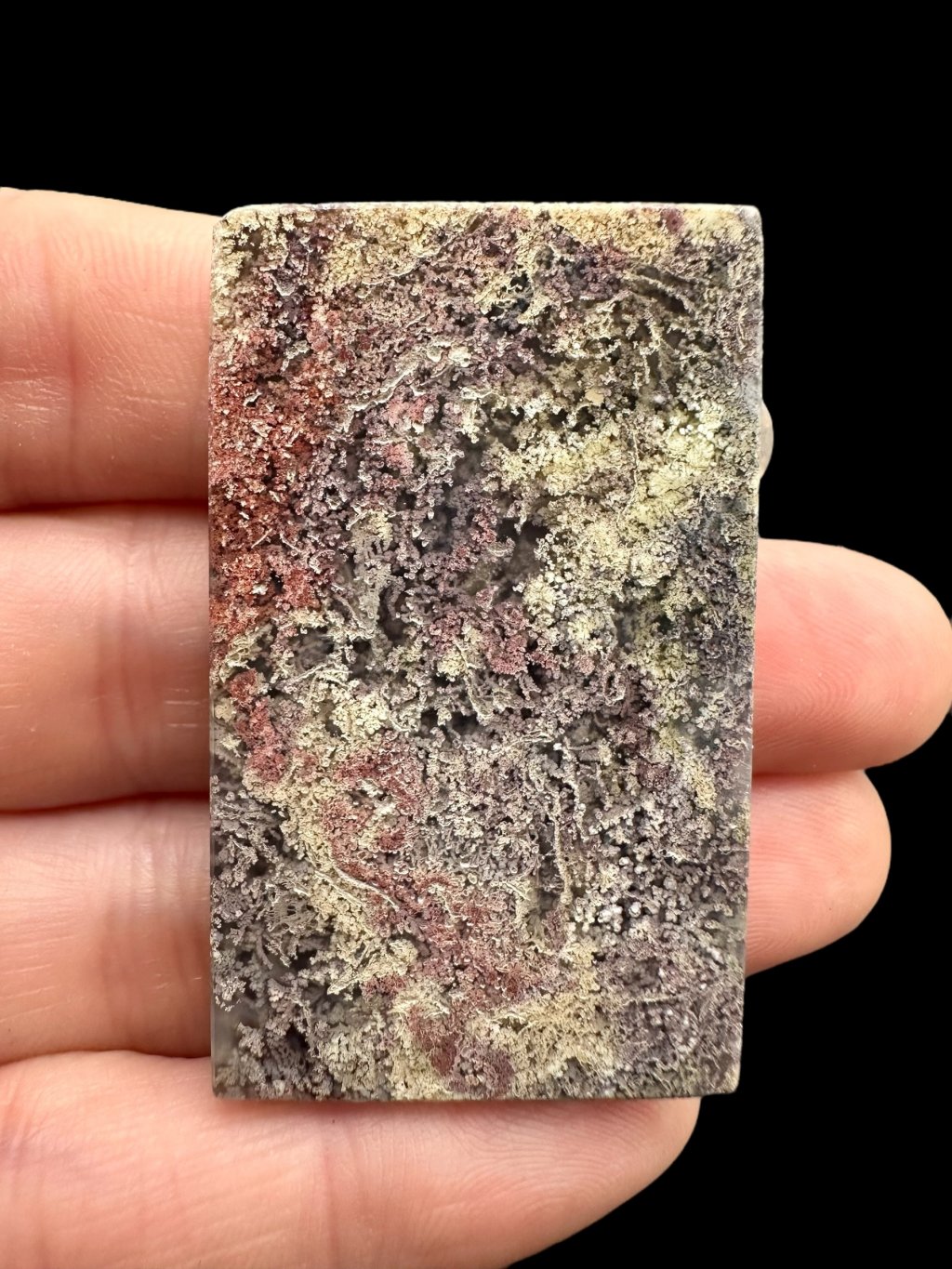 Photoroom 006 20250618 201529