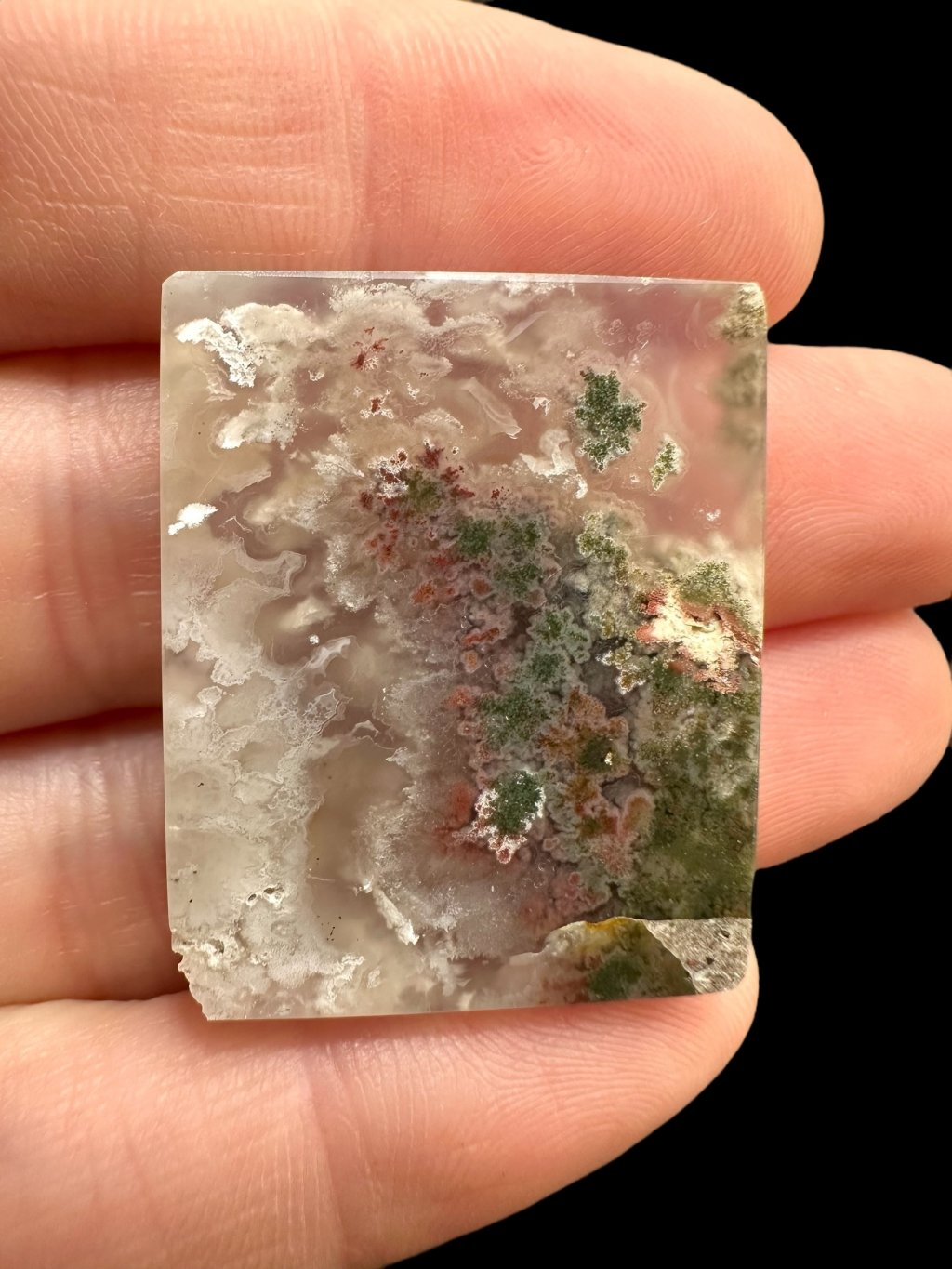 Photoroom 006 20250621 194654