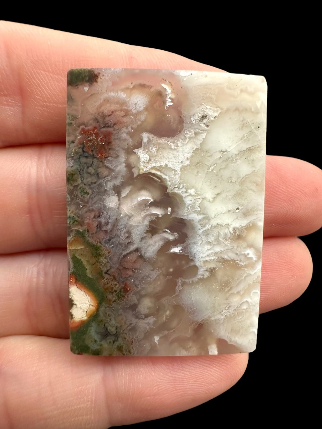 Photoroom 002 20250621 202018