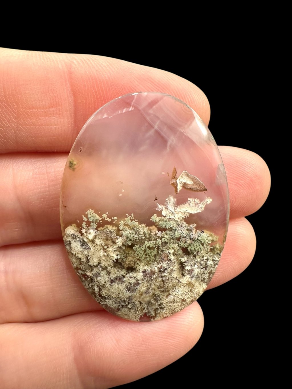 Photoroom 010 20250627 180754