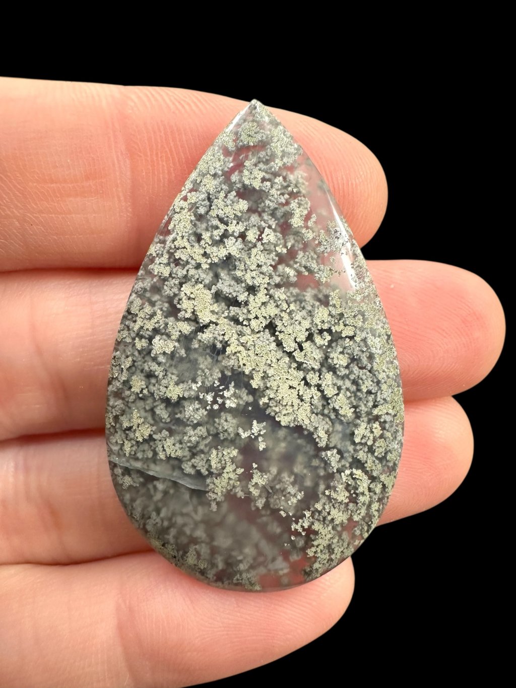 Photoroom 000 20250627 182352