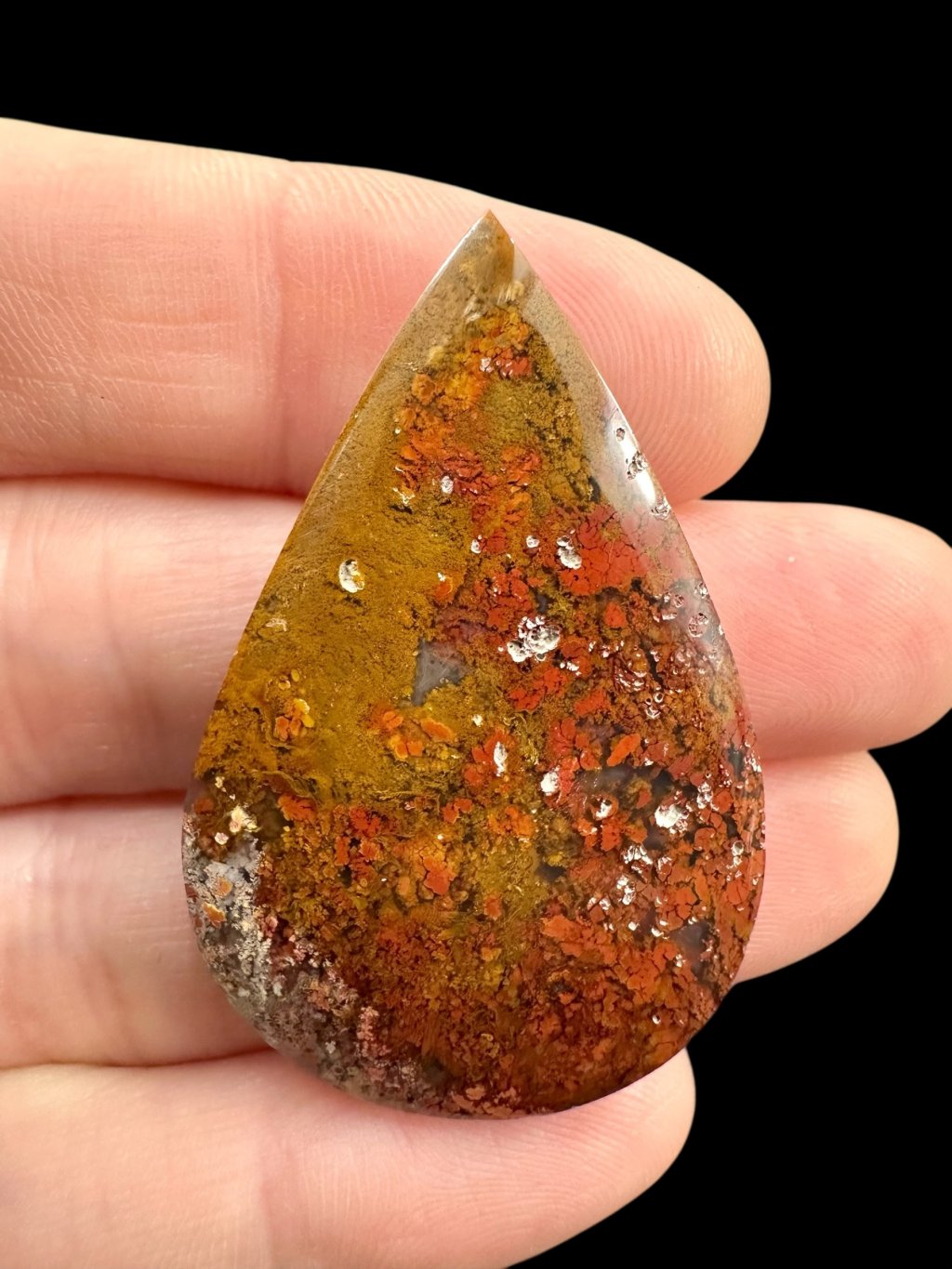 Photoroom 004 20250627 182352