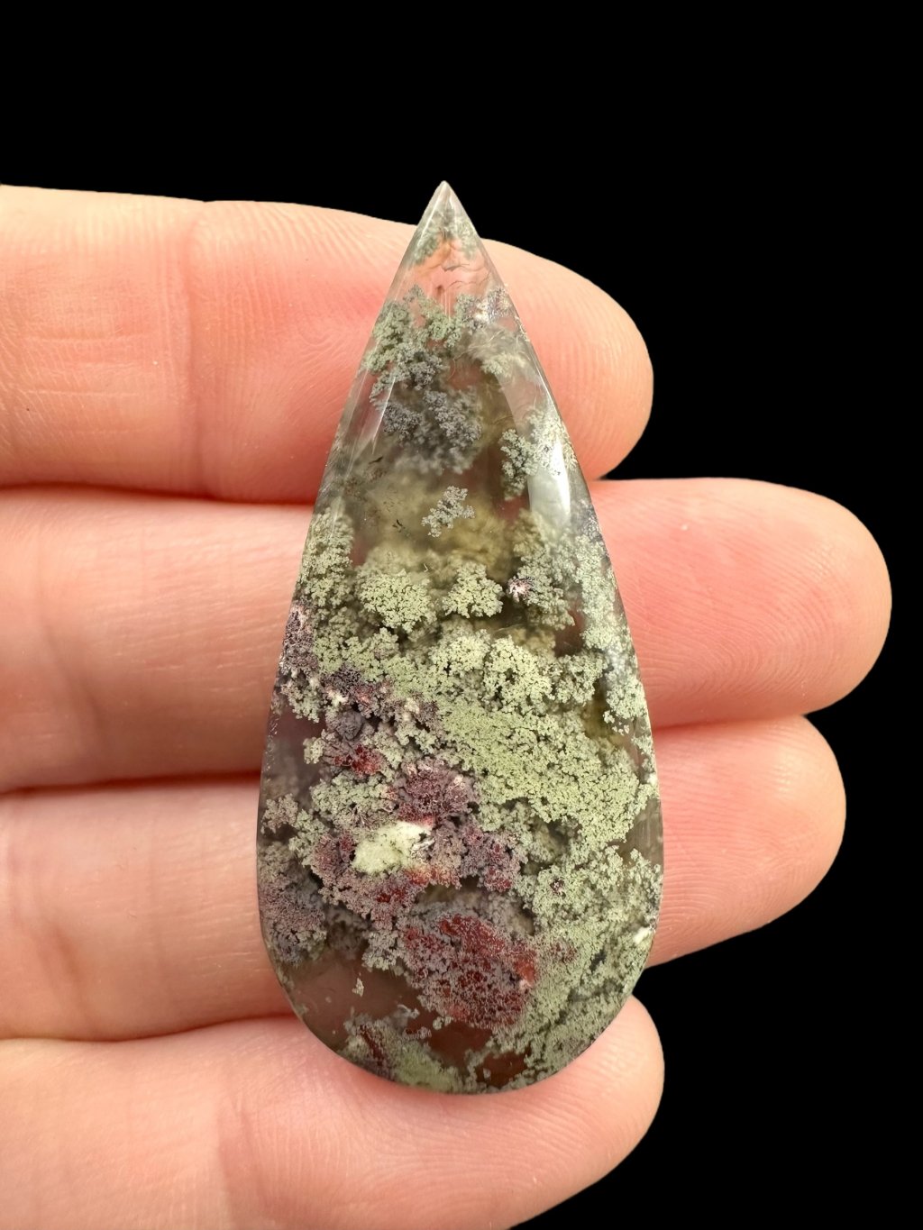 Photoroom 008 20250627 182352