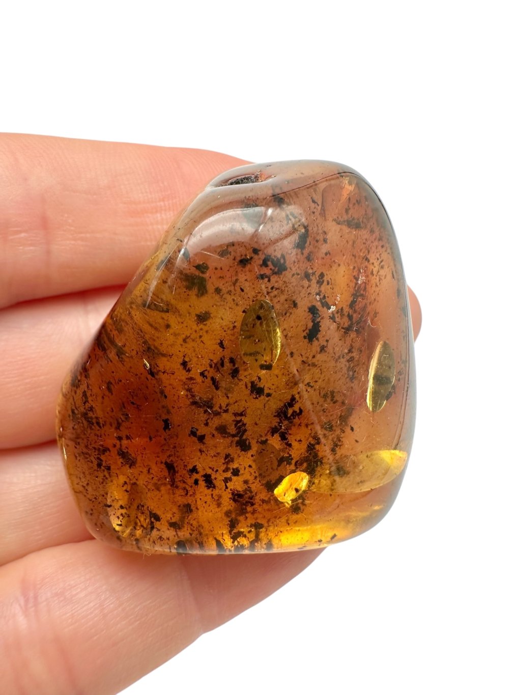 Photoroom 010 20250703 171416