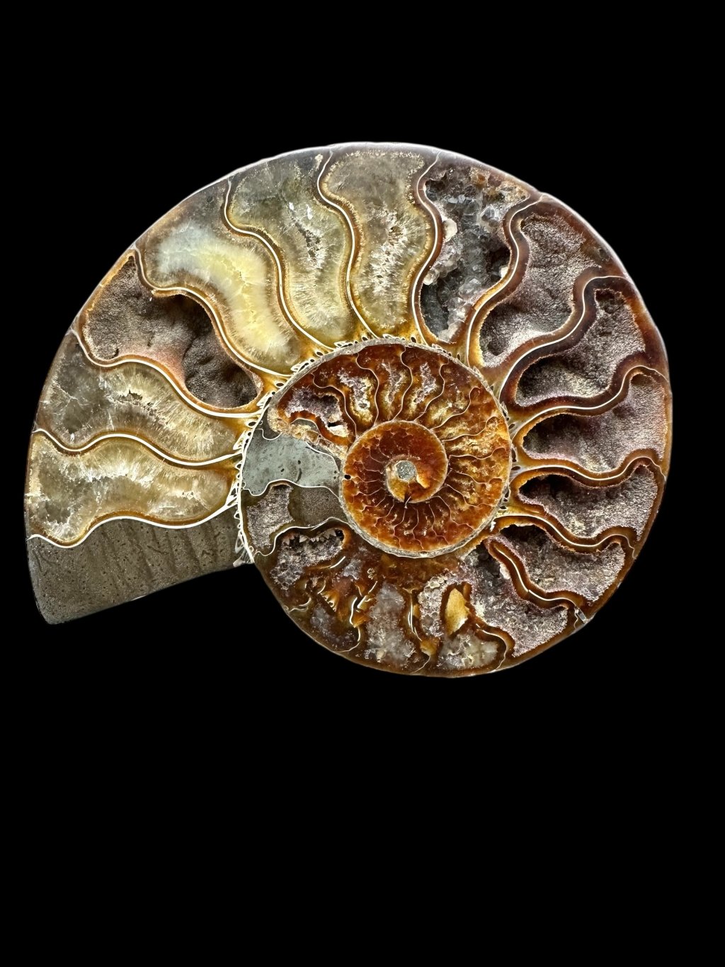 Photoroom 000 20250727 101213