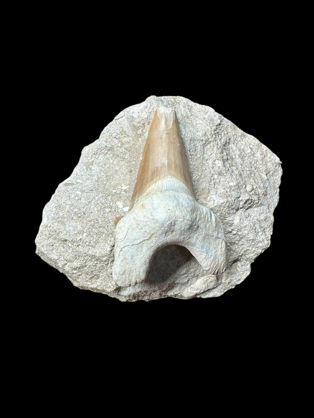 Photoroom 000 20250706 174425