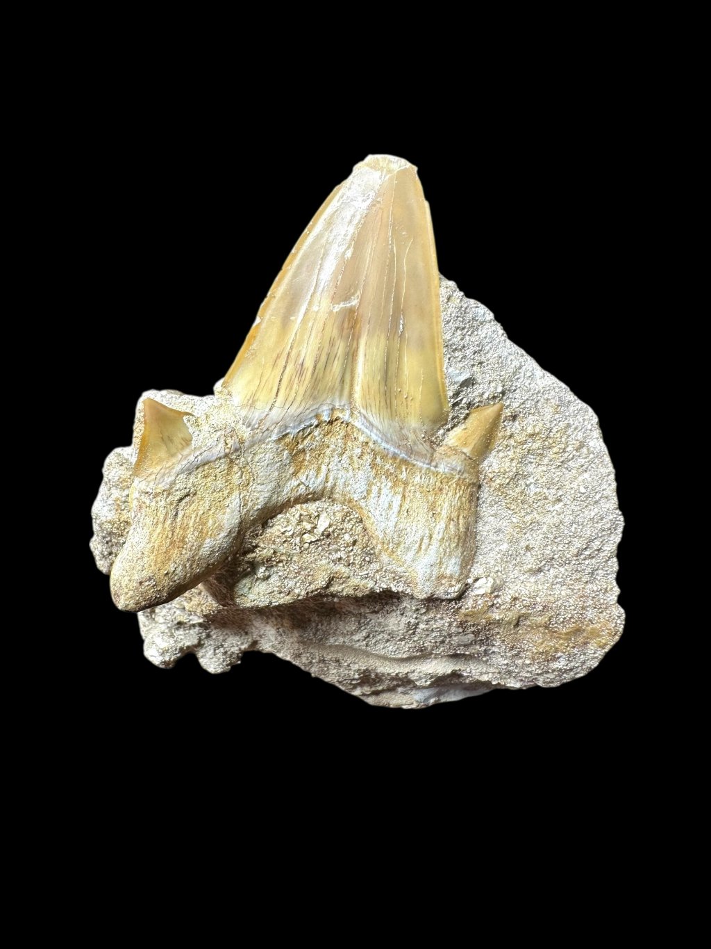 Photoroom 006 20250706 174425