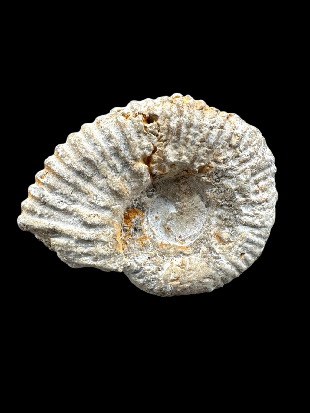 Photoroom 002 20250726 132328