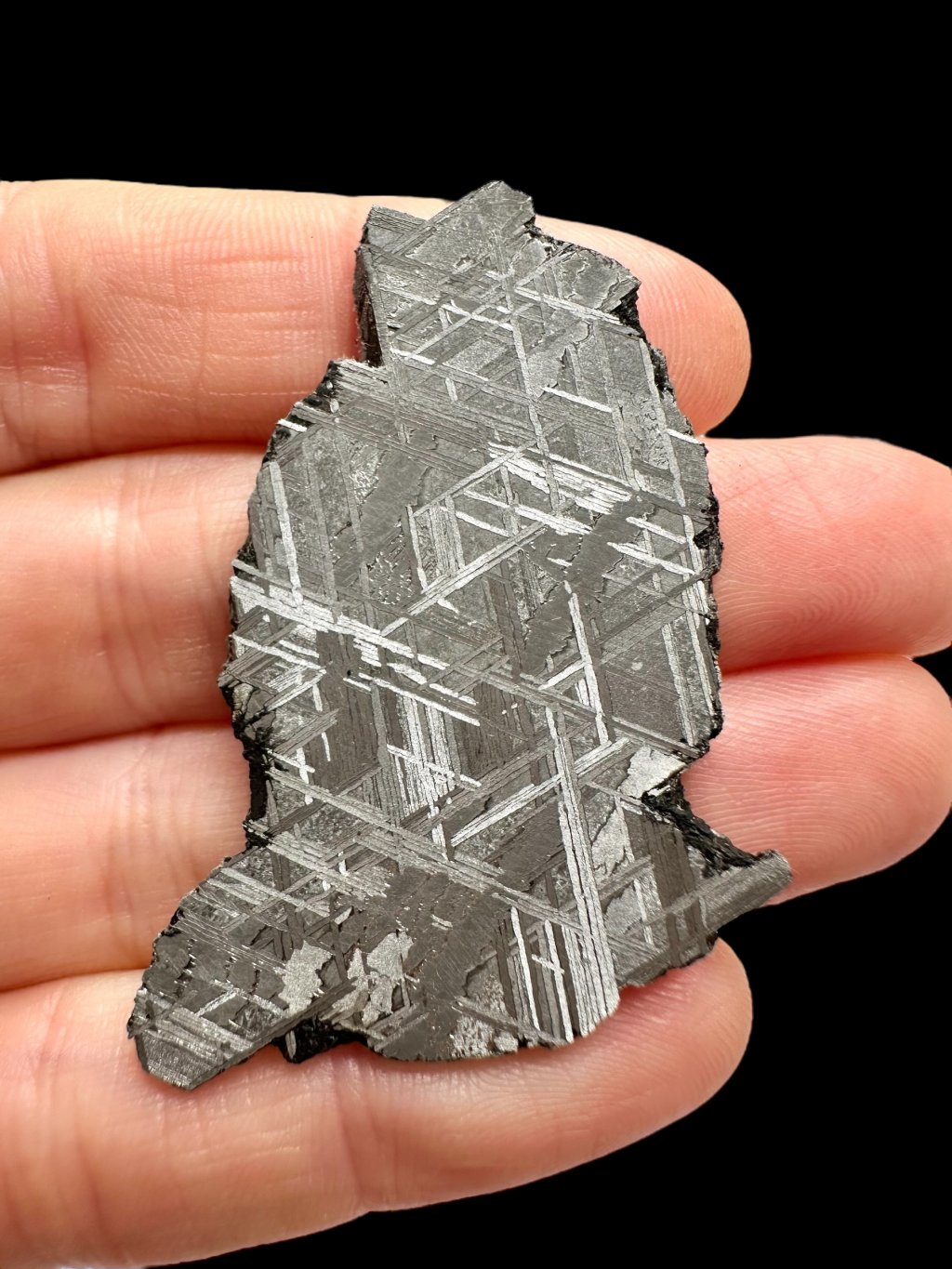 Photoroom 001 20251027 162938