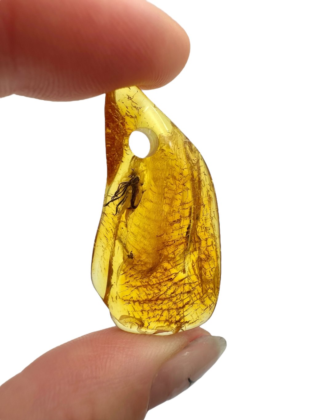 Photoroom 014 20250710 192622