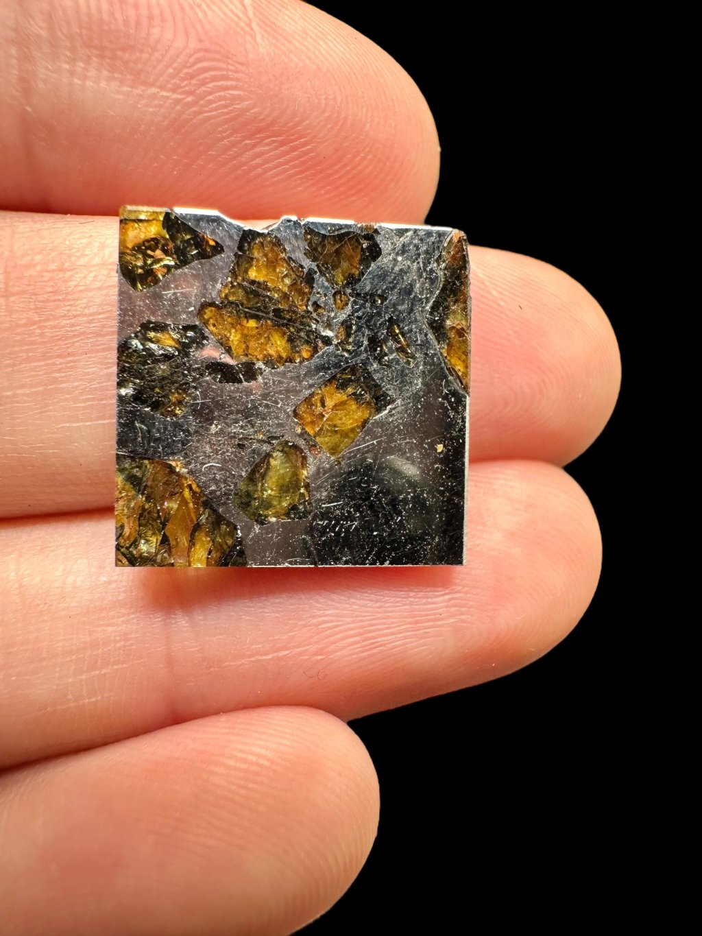 Photoroom 006 20250714 085452