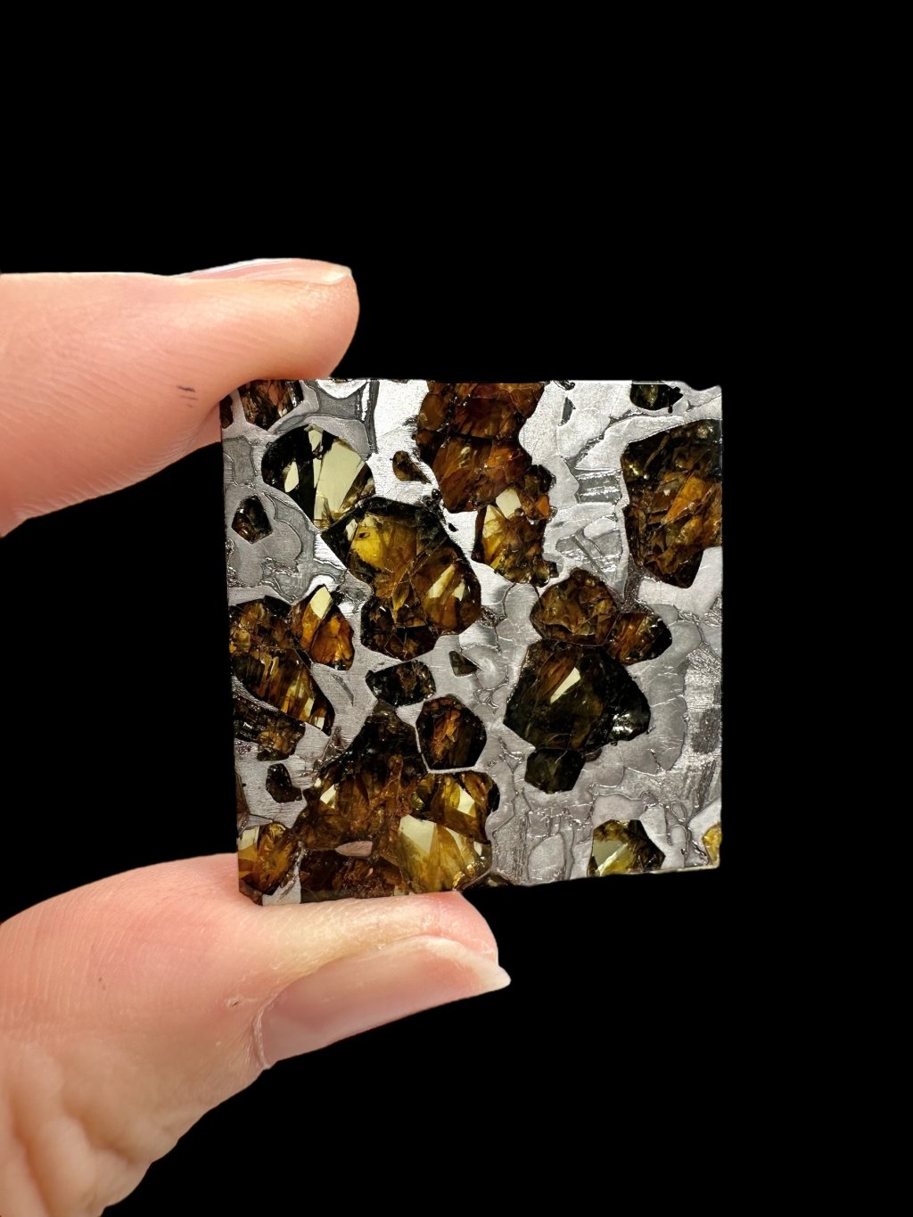 Photoroom 014 20251028 182744