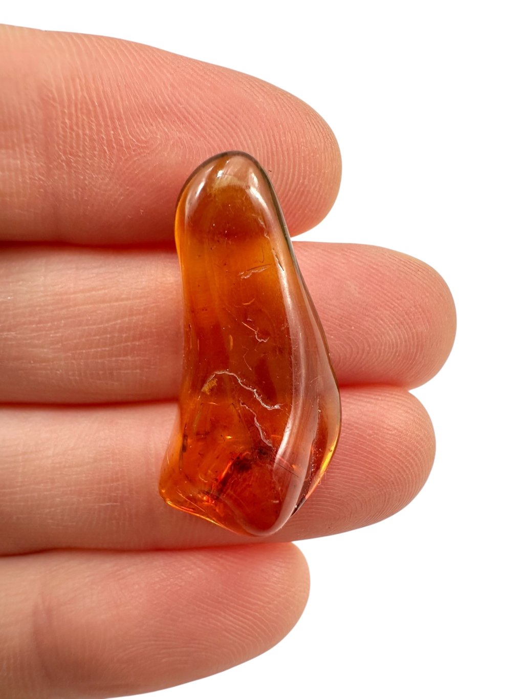 Photoroom 019 20250716 145346