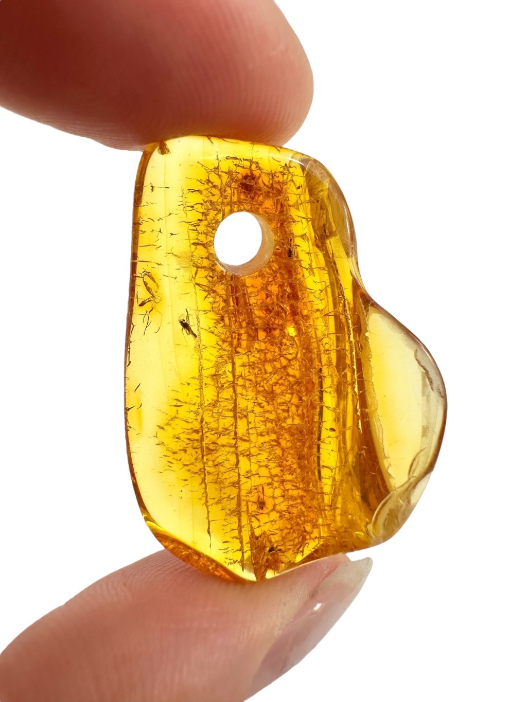 Photoroom 004 20250716 174452