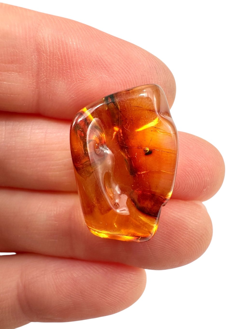 Photoroom 012 20250723 092537