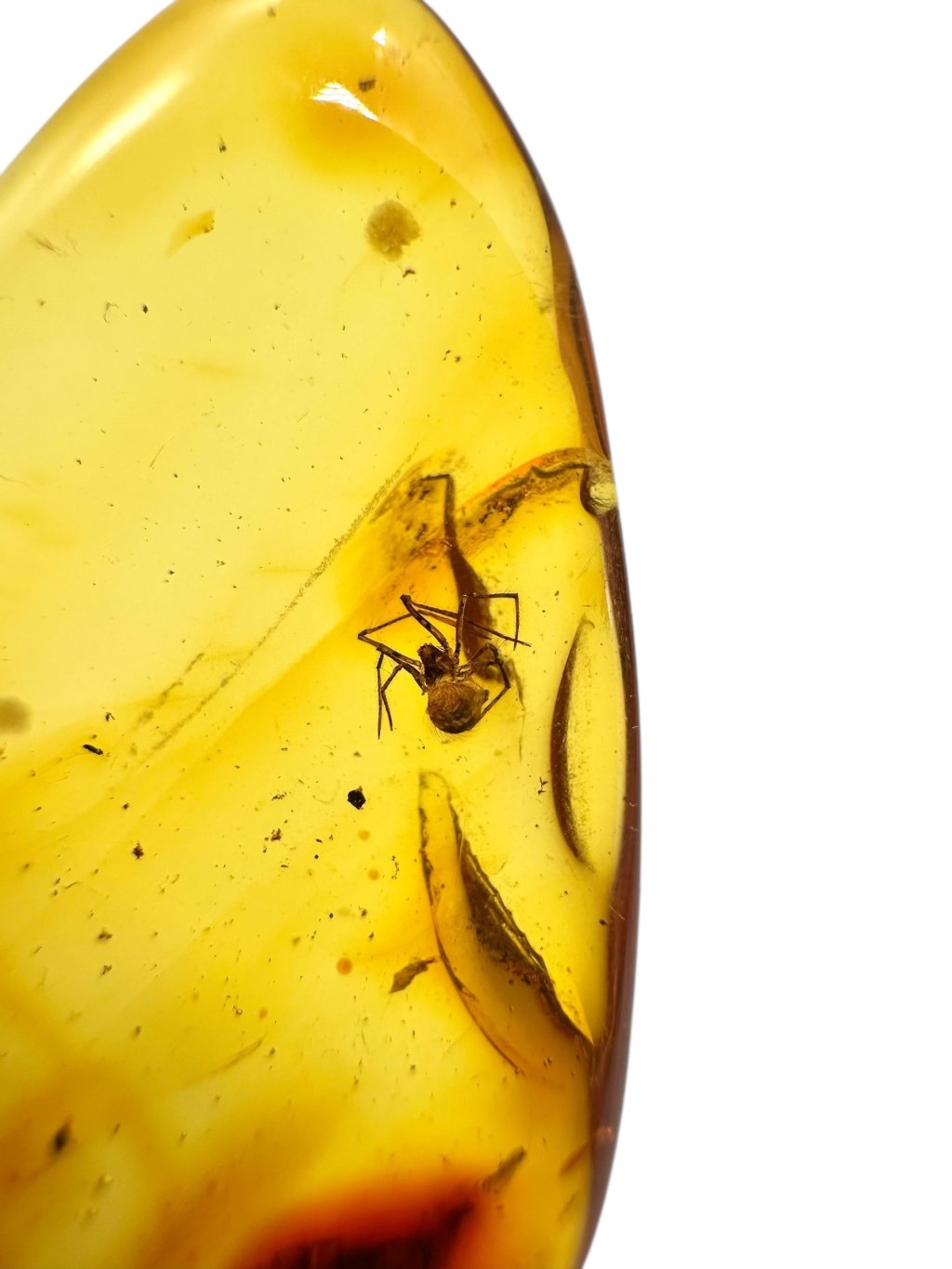 Photoroom 021 20250723 141120