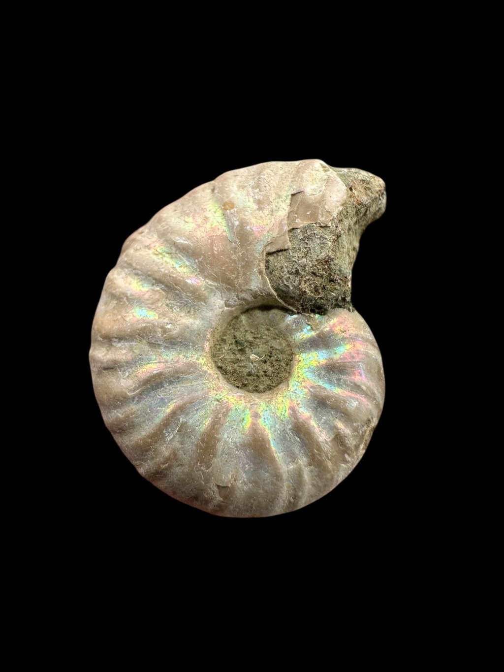 Photoroom 019 20250724 100654