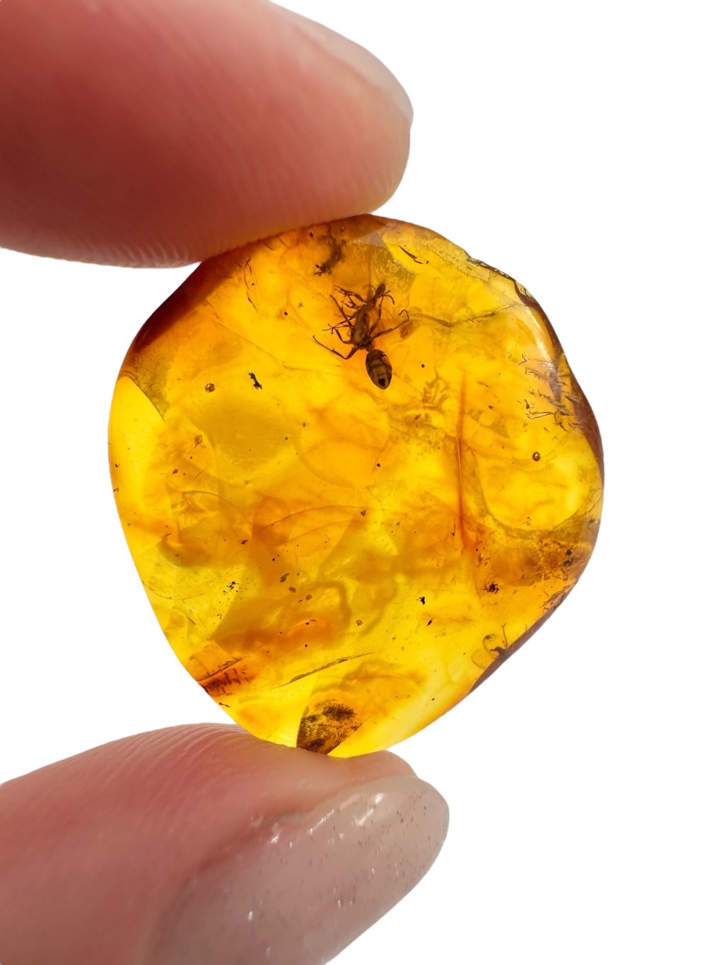 Photoroom 004 20250724 100512