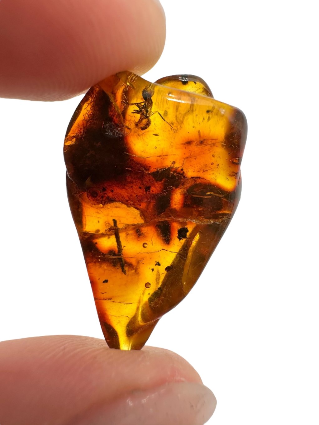 Photoroom 035 20250724 191735