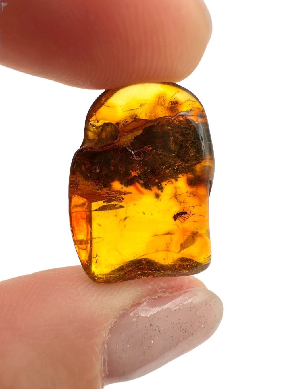 Photoroom 000 20250726 132656