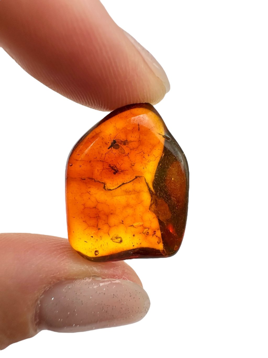 Photoroom 012 20250726 132656