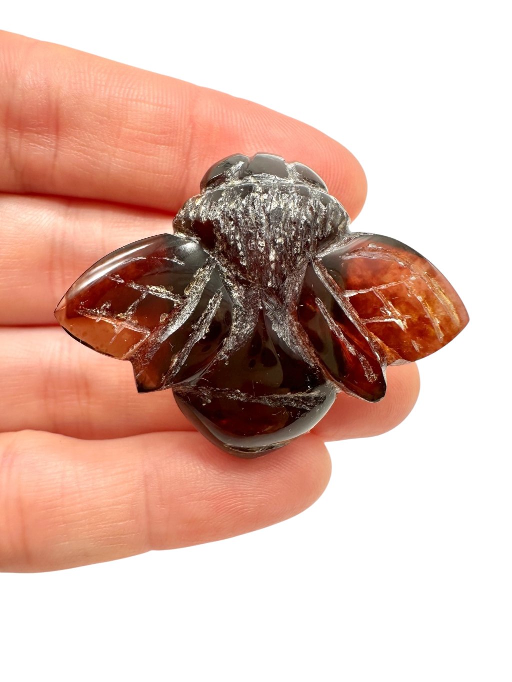 Photoroom 005 20250826 170731