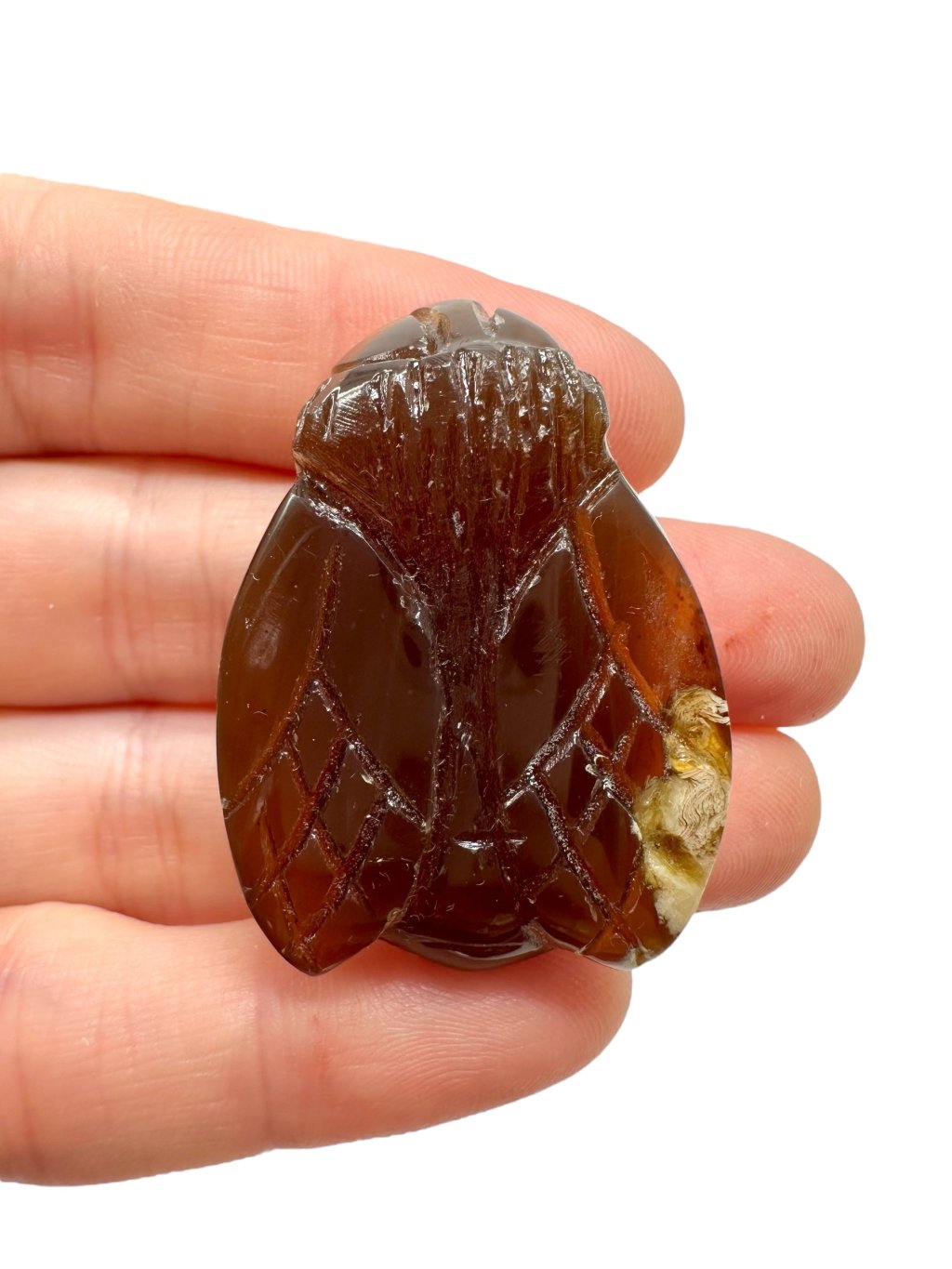 Photoroom 005 20250828 173004