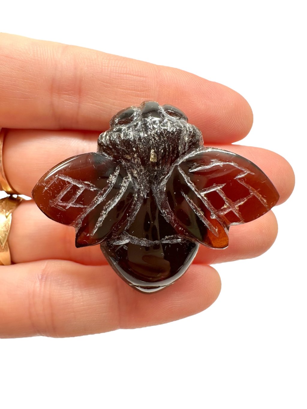 Photoroom 025 20250828 173004