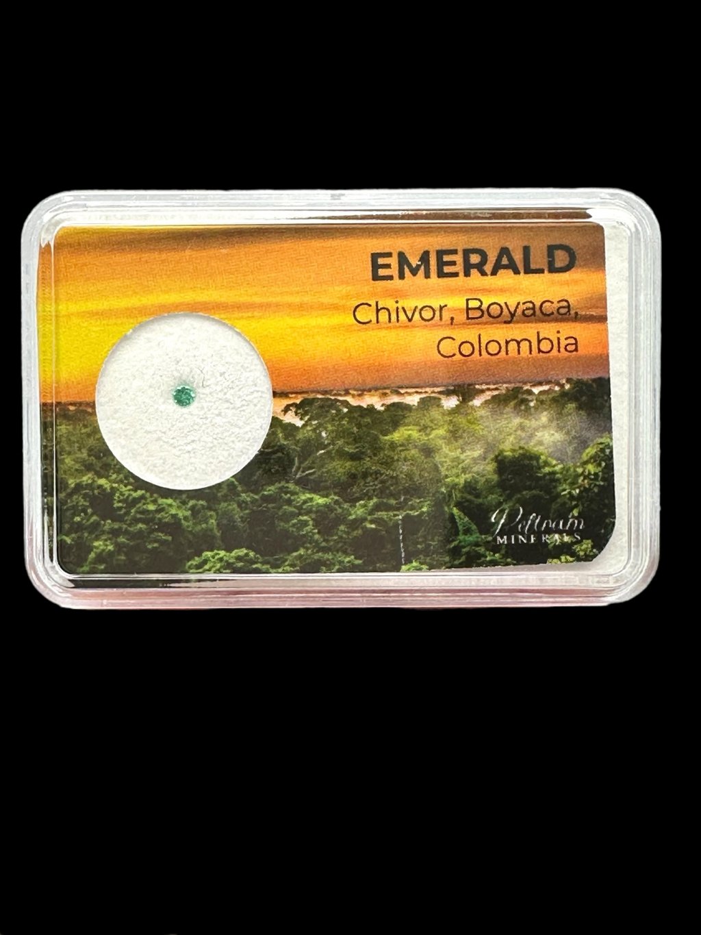 Photoroom 001 20250830 113626