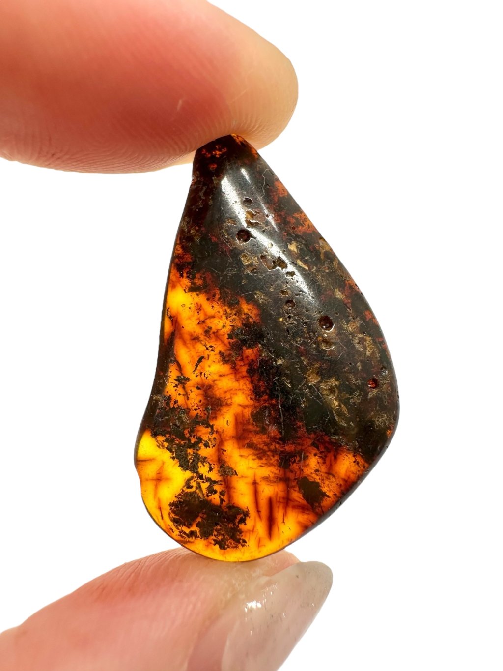 Photoroom 031 20250901 200540