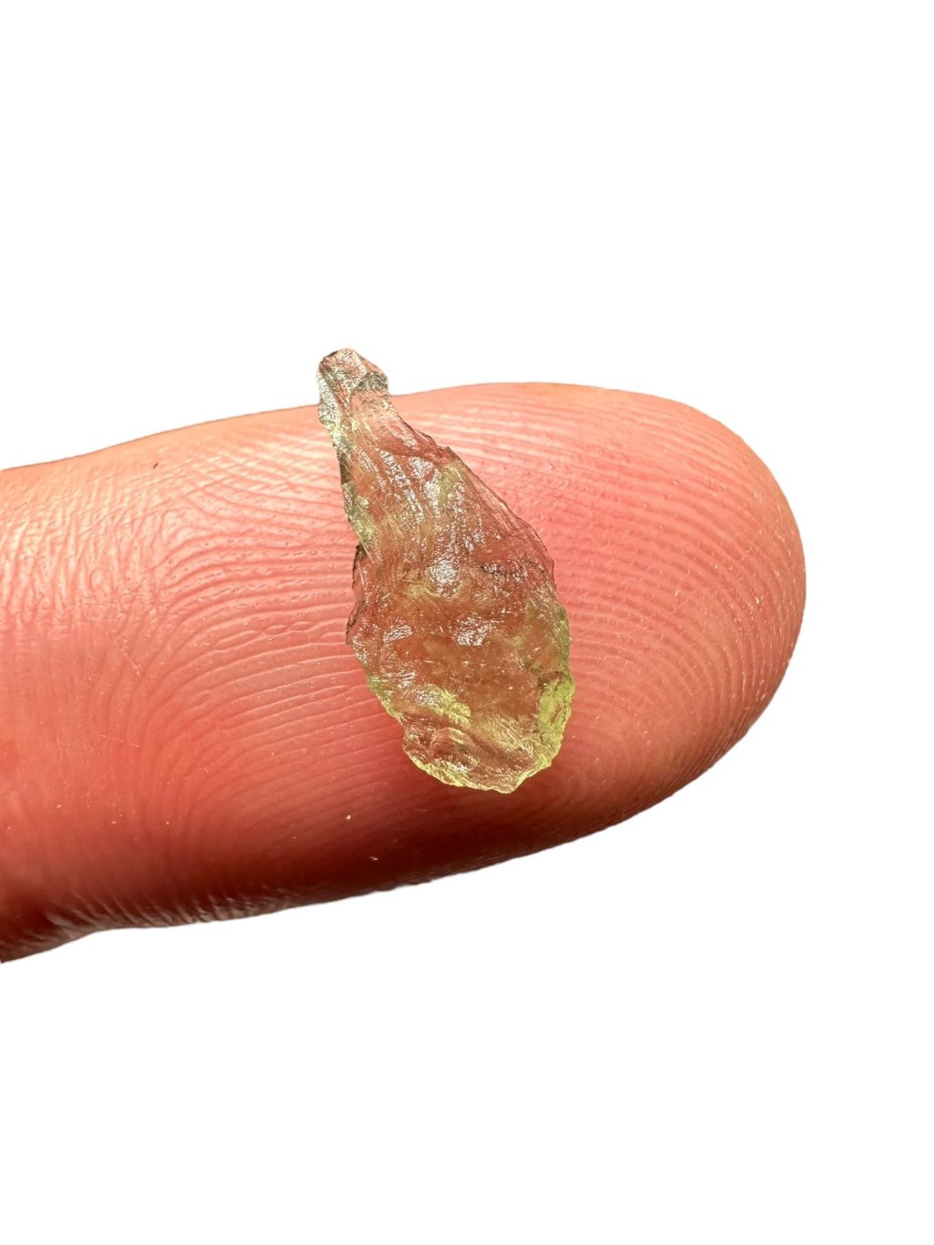 517176362 4089237077983911 2573458561750821043 n