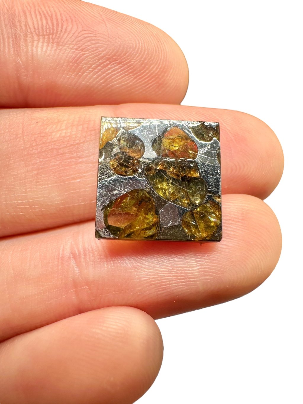 Meteorite Brahin 1,9g – Extra Quality – Belarus