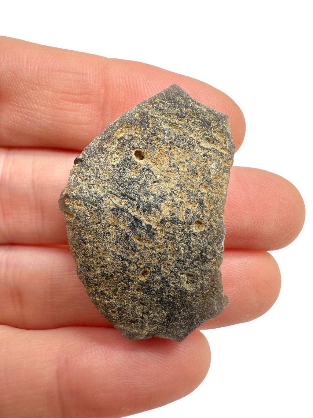 Photoroom 010 20250905 195850