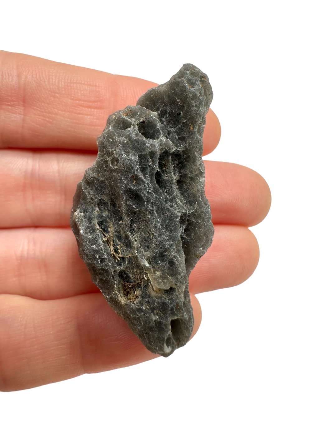 Photoroom 015 20250905 195850