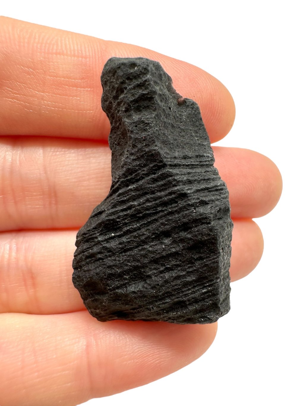 Photoroom 006 20250911 183001