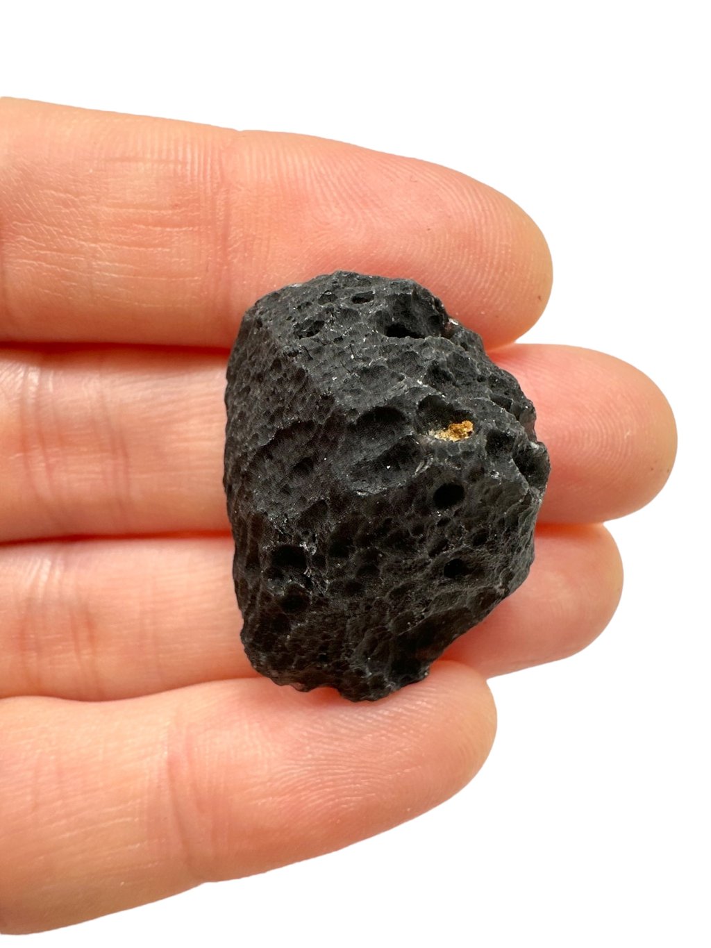 Photoroom 016 20250911 183001