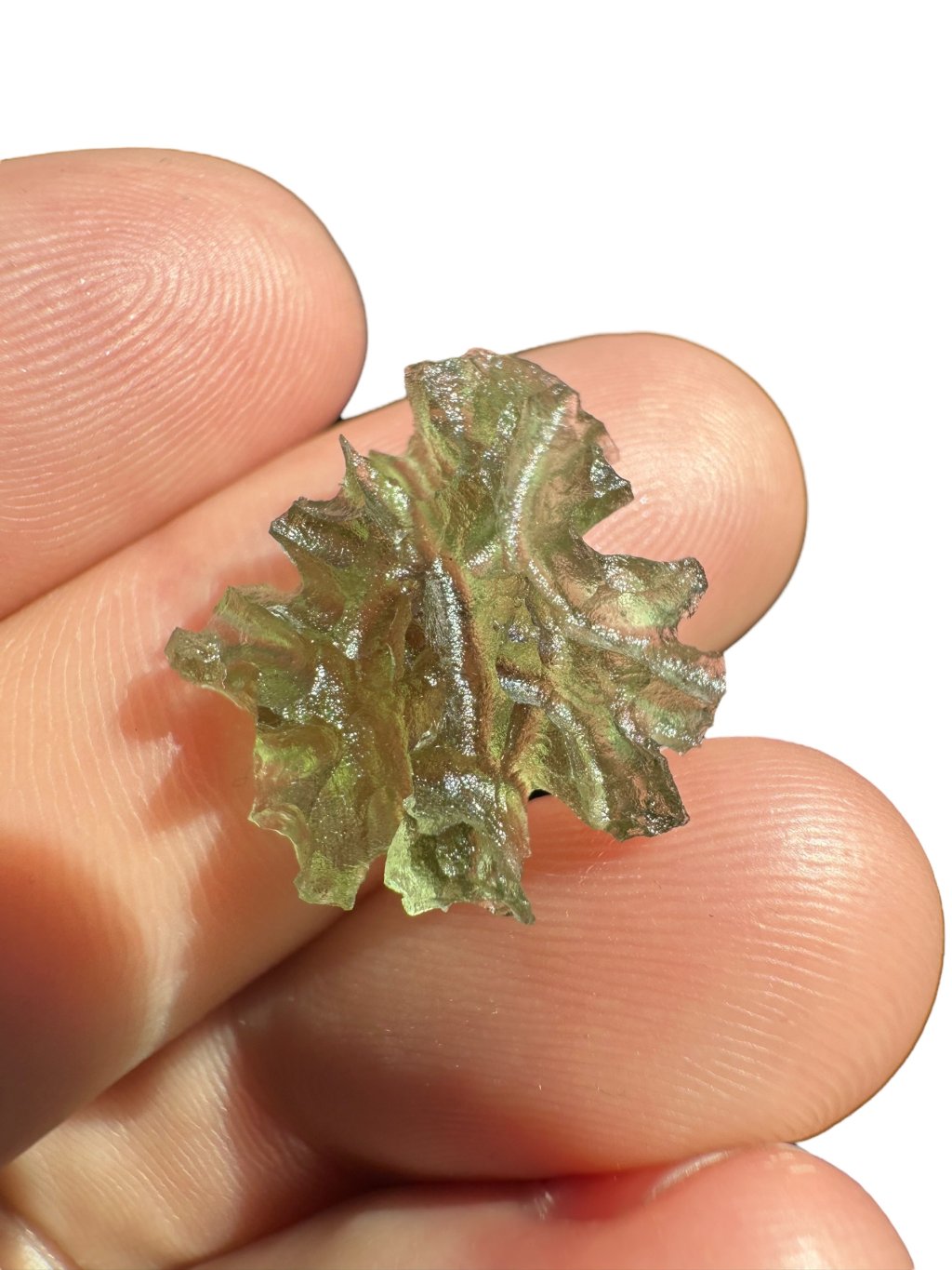 Vltavín – Besednice Ježkovna – 1,3g