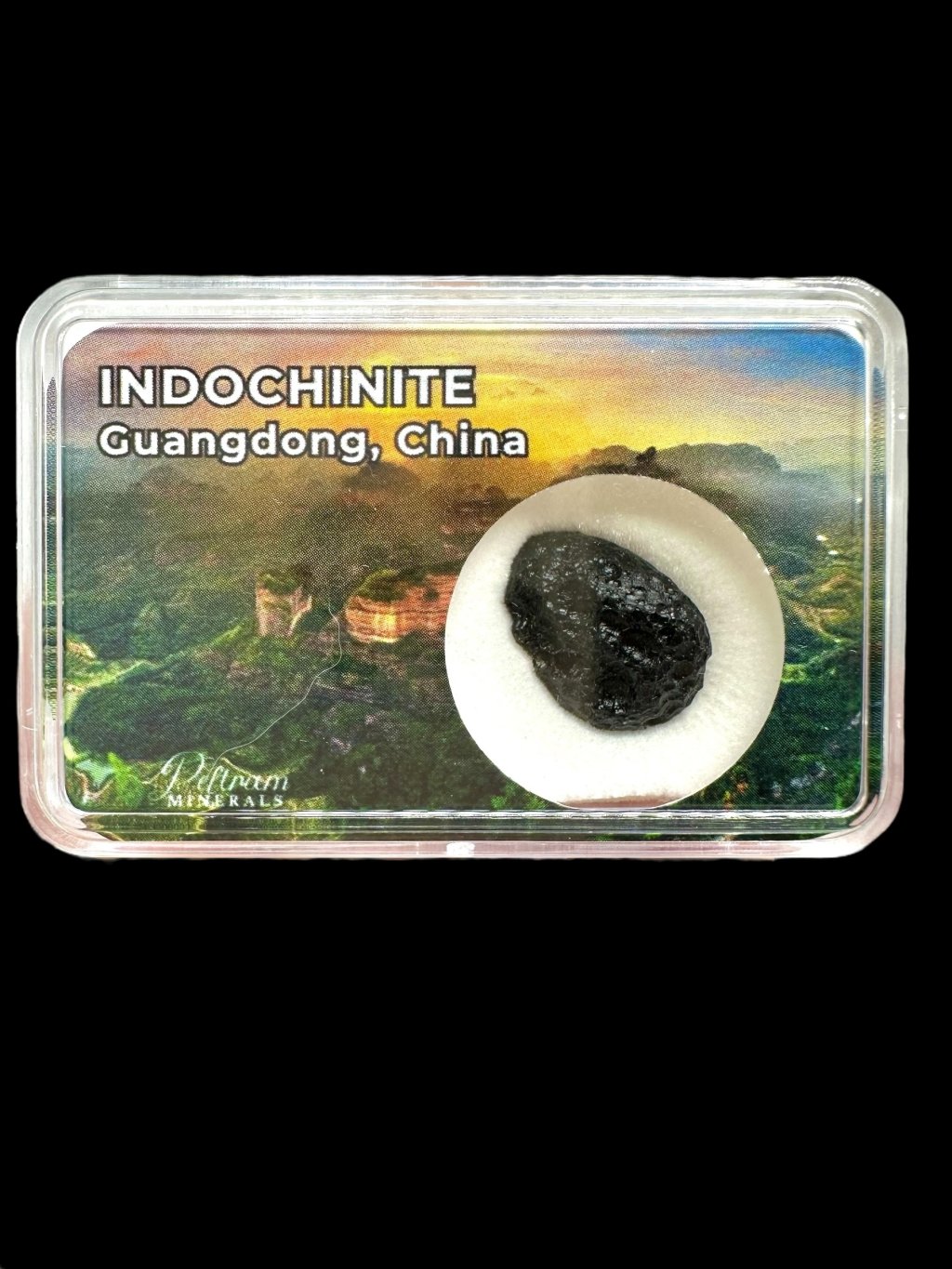 Photoroom 001 20250915 094730