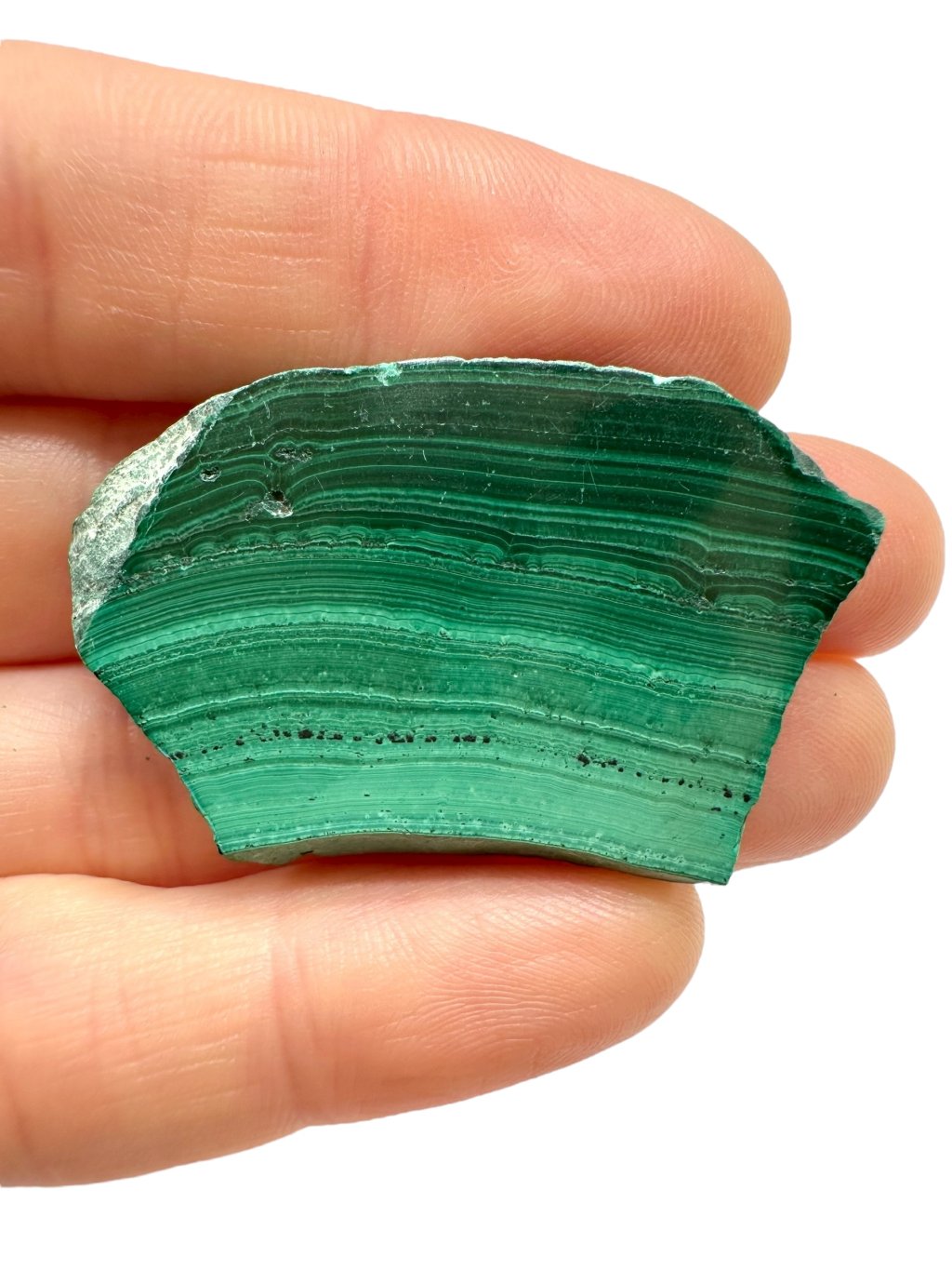 Photoroom 002 20251003 100207