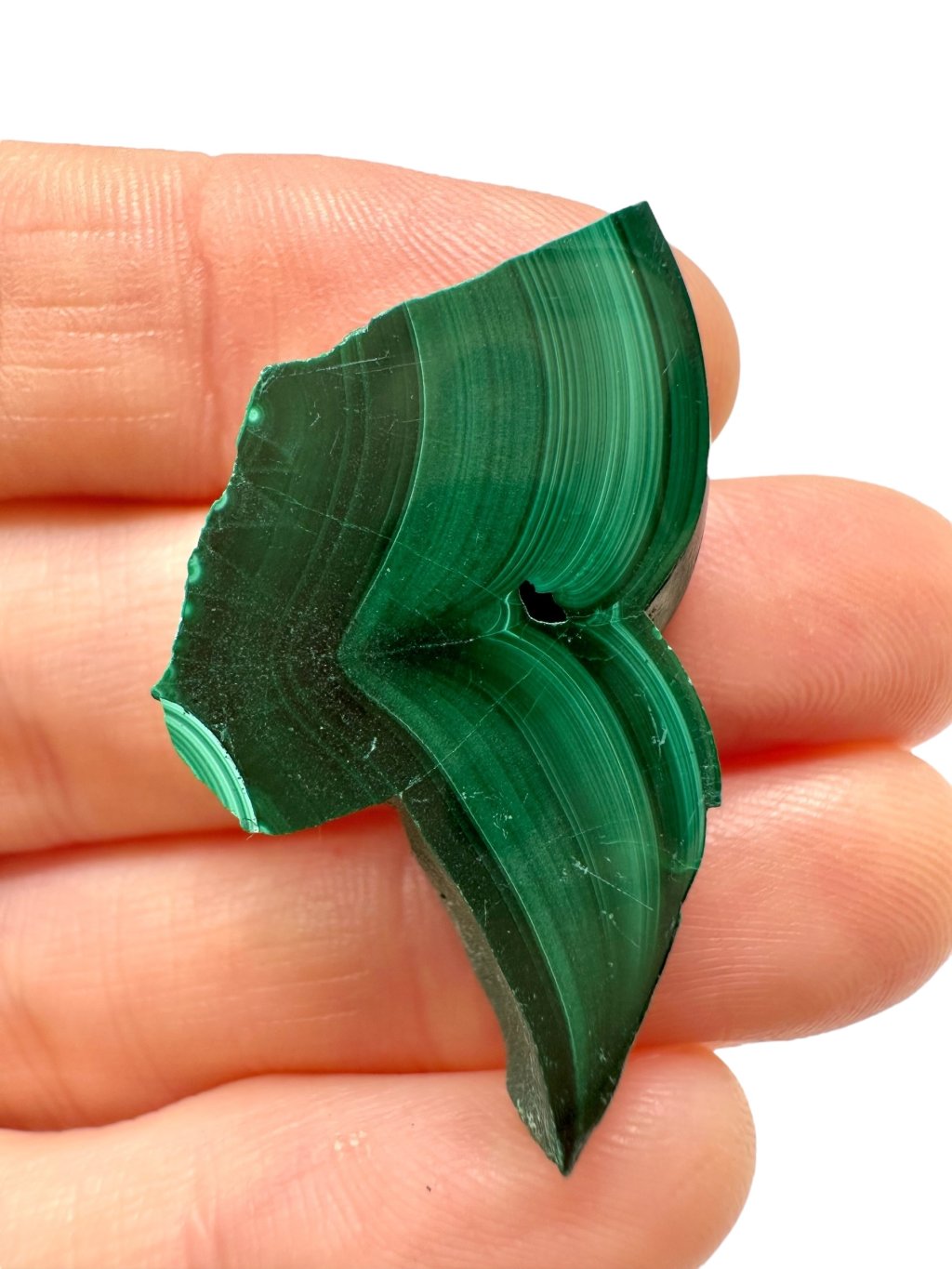 Photoroom 008 20251003 133002