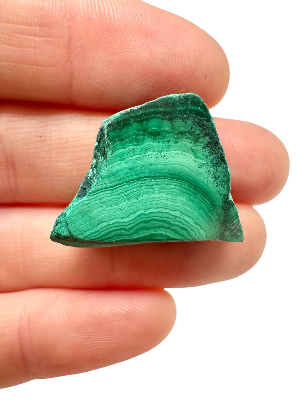 Photoroom 000 20251003 201839