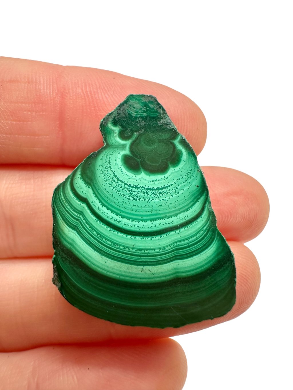 Photoroom 000 20251005 152945