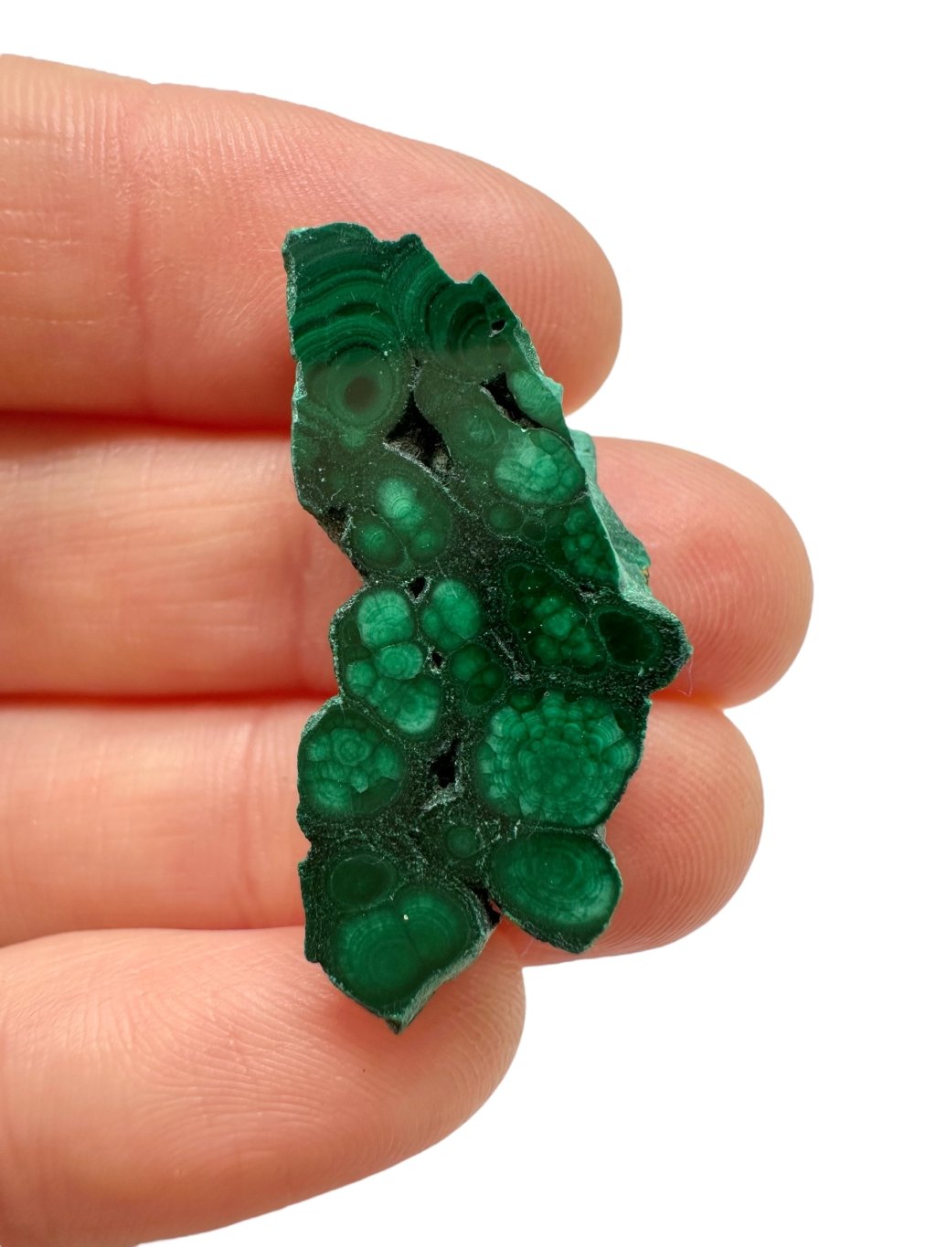 Photoroom 010 20251005 152945