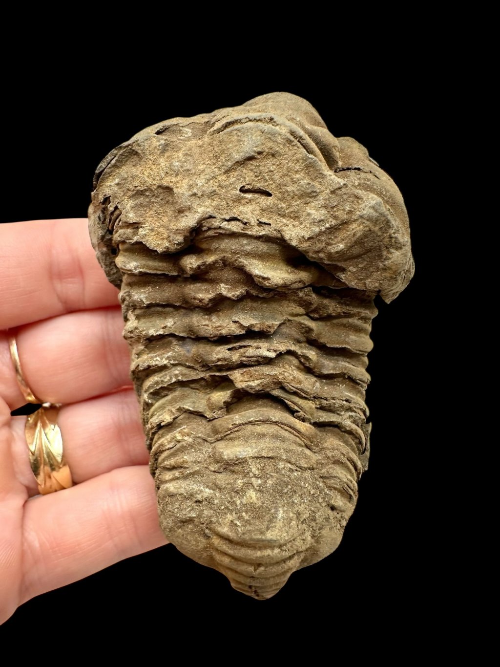 Photoroom 004 20251009 204343