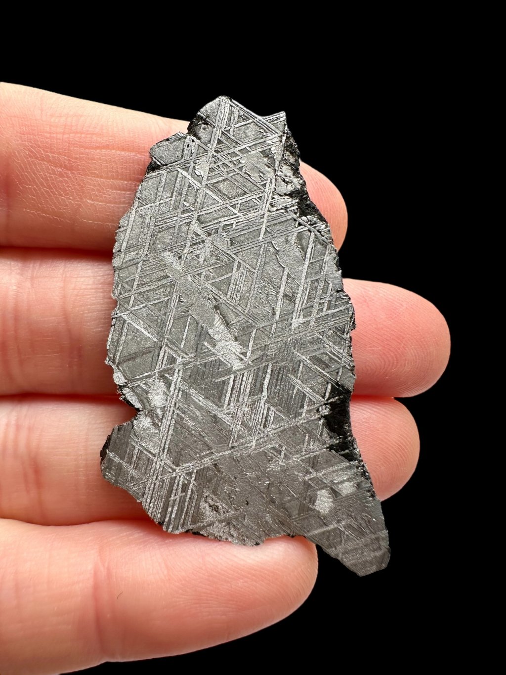 Photoroom 024 20251028 145018