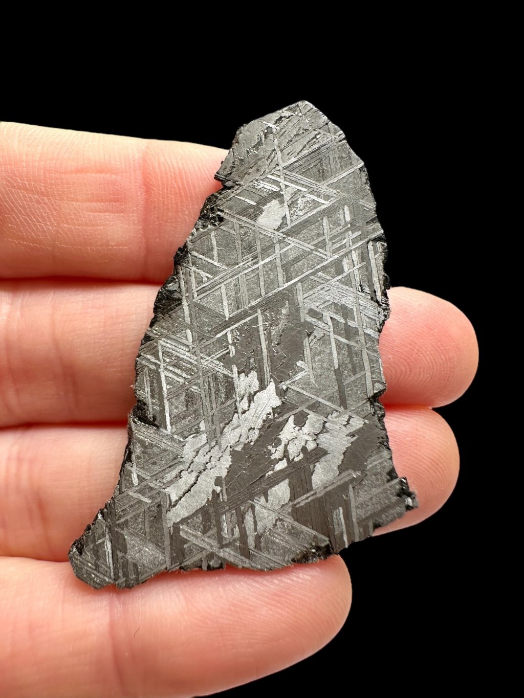 Photoroom 026 20251028 145018