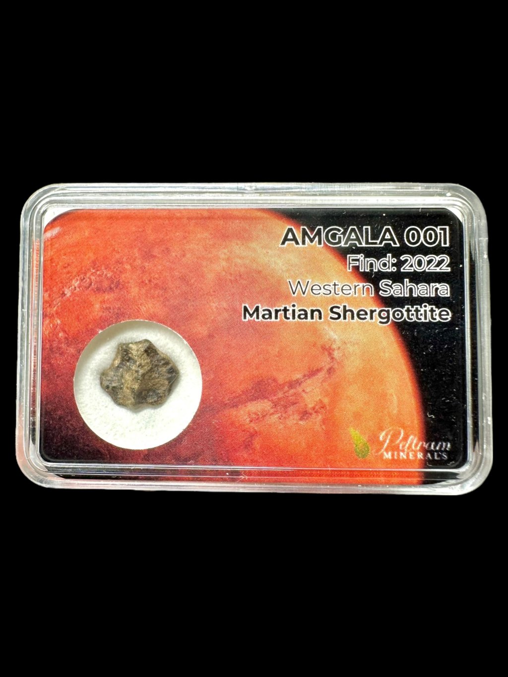 Photoroom 005 20251030 161043