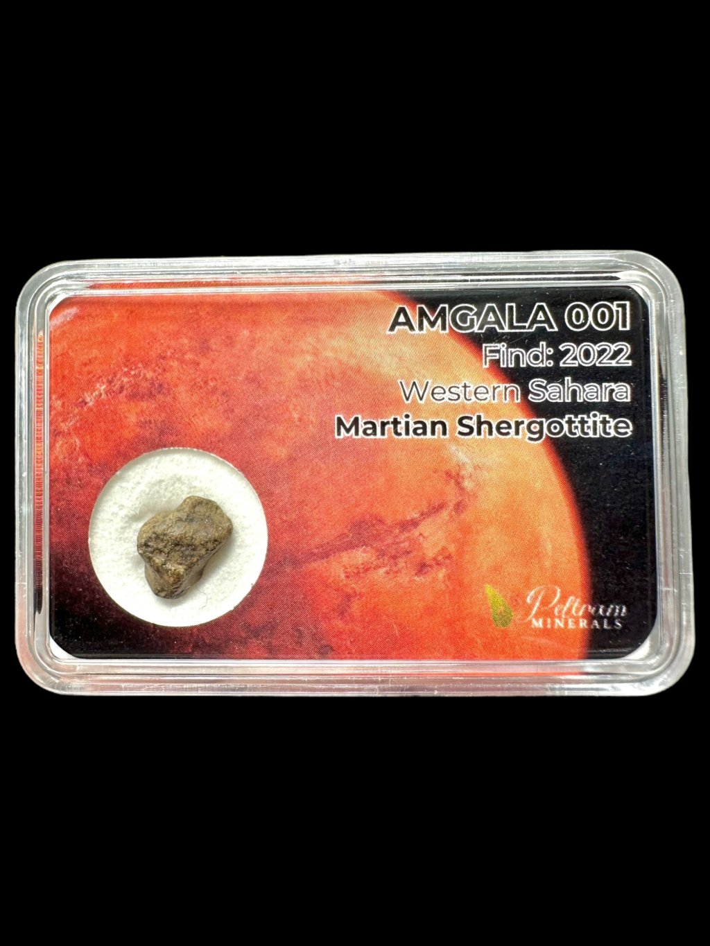 Photoroom 008 20251030 161043